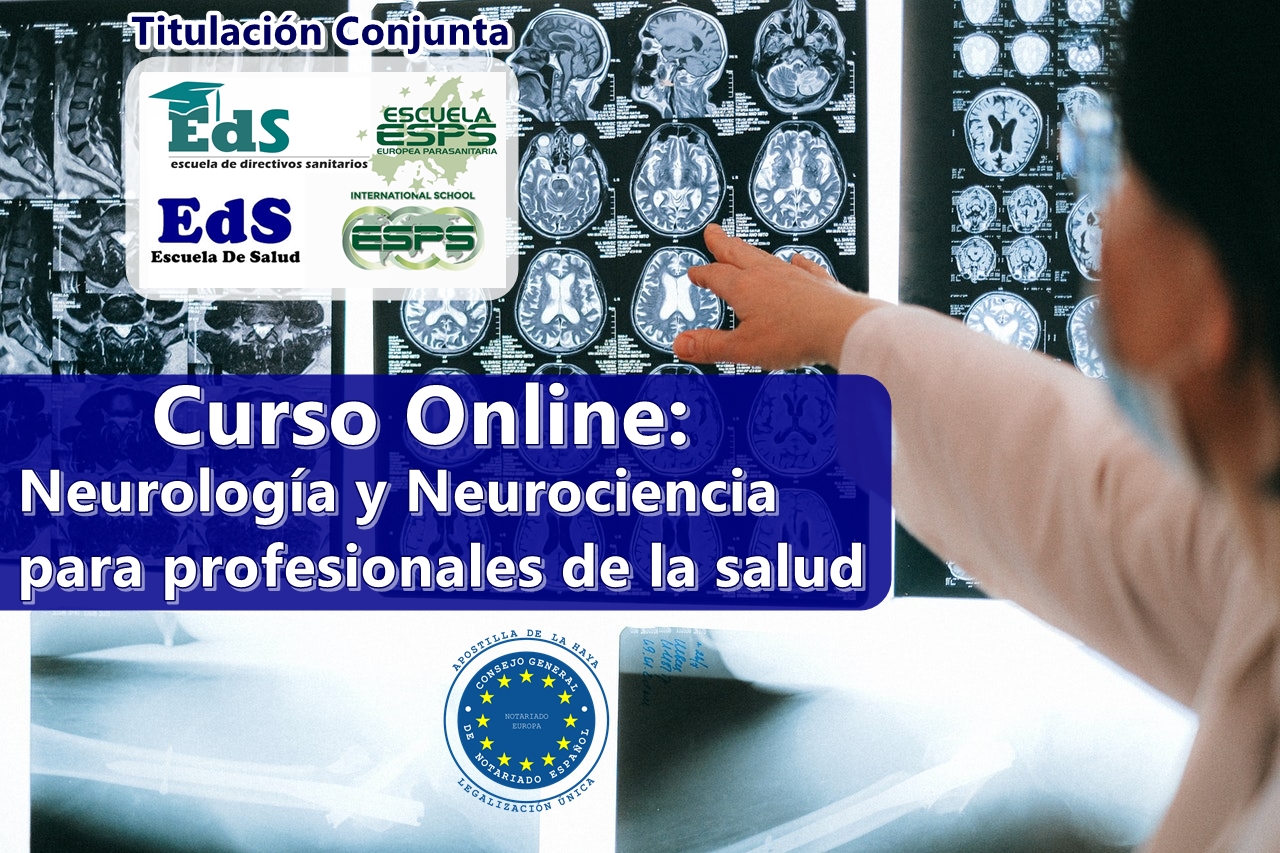 Neurología y neurociencia aplicada a profesionales de la salud